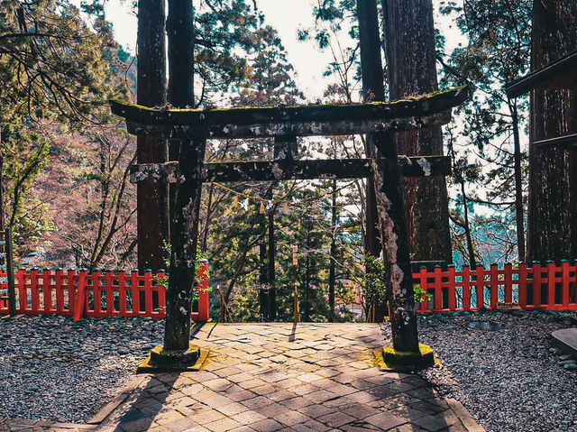 【愛知】徳川家康ゆかりの神社⛩️ 鳳来山東照宮