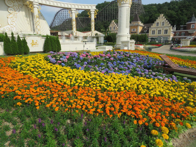 🇰🇷 首爾超美打卡樂園！