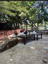 Dubua Cafe ดูบัวคาเฟ่