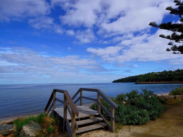 Sun-Kissed Shores & Pinot Dreams: A Mornington Peninsula Escape
