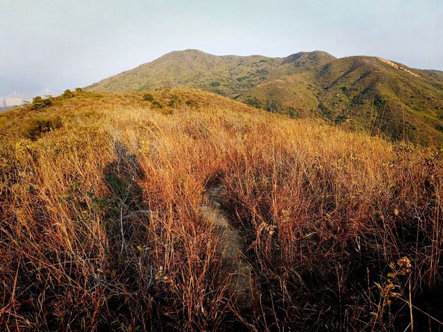 香港郊遊：大嶼山大陰頂(試新路)