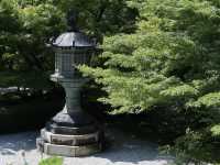 Eikando Temple: A Tranquil Escape in Kyoto’s Summer