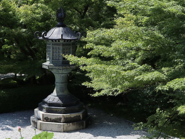Eikando Temple: A Tranquil Escape in Kyoto’s Summer