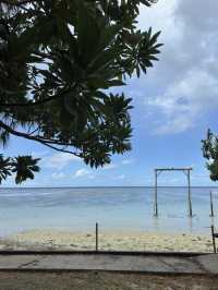 澳洲小眾島嶼Heron island看海龜🐢