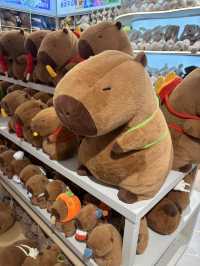 카피바라 인형 마트