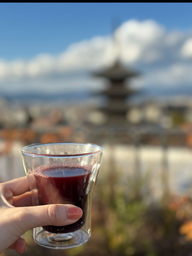 【京都】大人女子におすすめしたい🍵🤍ゆるりとめぐる京都✨