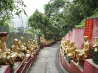 10,000 Buddhas, One Journey: A Peaceful Escape in Sha Tin