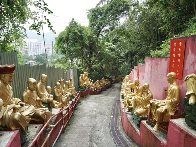 10,000 Buddhas, One Journey: A Peaceful Escape in Sha Tin