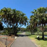 Serene Escape to the Royal Botanic Gardens Sydney