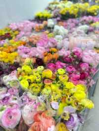 ตลาดดอกไม้สด ปากคลองตลาด