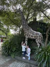 台北｜台北市立動物園