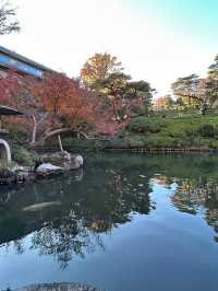 「八芳園」是一個很棒的賞楓景點
