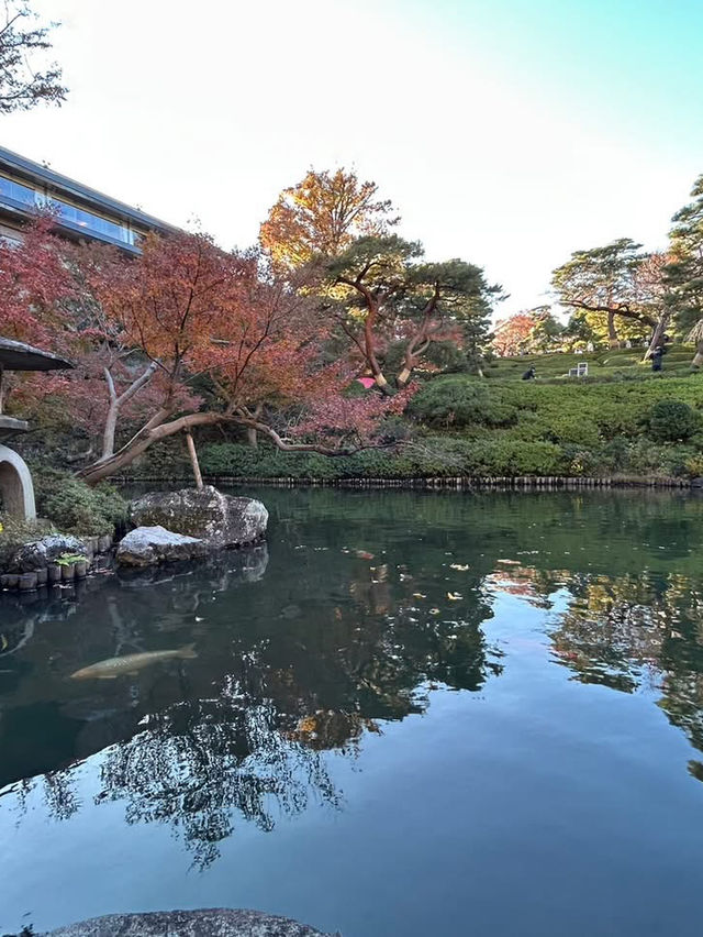 「八芳園」是一個很棒的賞楓景點
