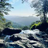 Nature’s Paradise at Springbrook National Park 🇦🇺