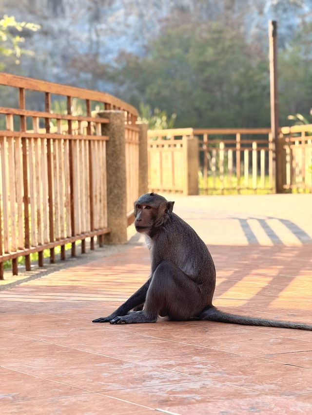 How to spend 2 days in Suan Phueng🐝🌴