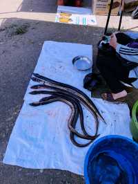  Exotics GEMS at Tamparuli Sunday Market 
