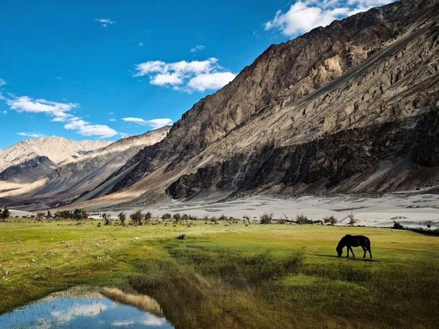Awasome Nubra Valley 