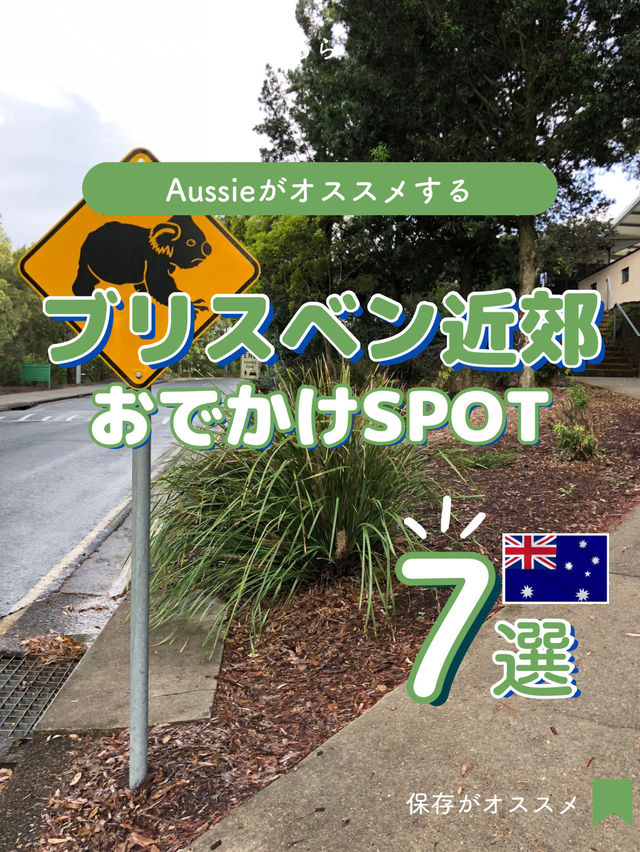 【オーストラリア】ブリスベン近郊のオススメSPOT７選！