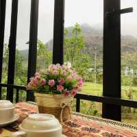 MỘC CHÂU - SƠN LA - VIỆT NAM