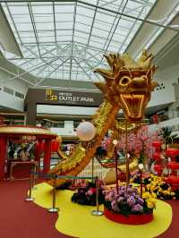 A Roaring CNY Celebration! 🐉✨