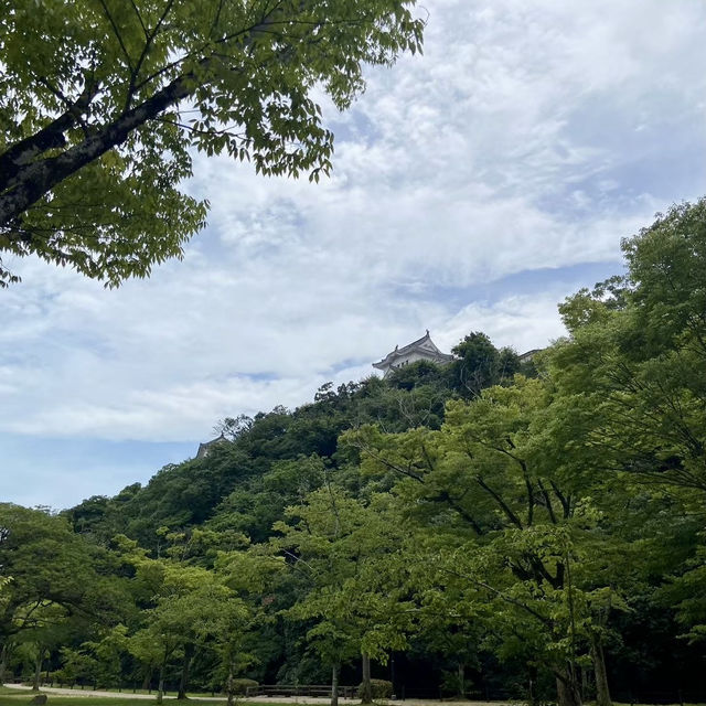【兵庫県】駅すぐに姫路城現る