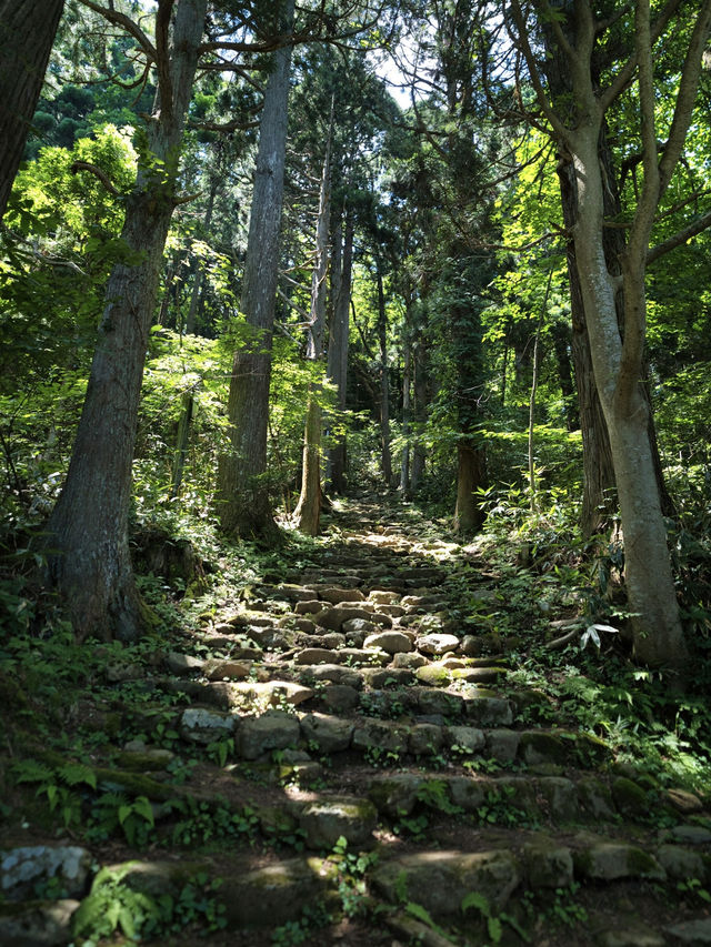 【秋田】なまはげがやってくる👹山奥で神秘の体験✨周辺観光情報付き