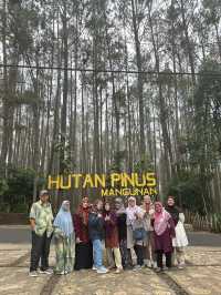 Yogyakarta & Solo: A Journey Through Culture and Nature