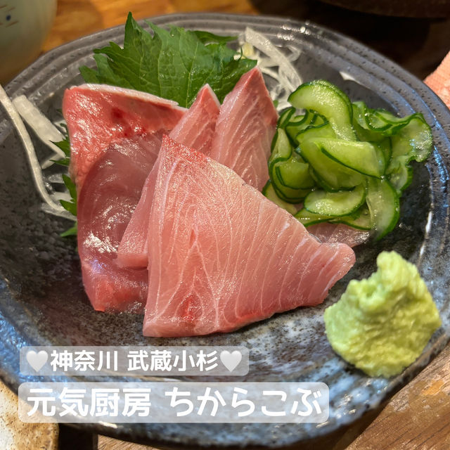 【食べ歩き】神奈川 武蔵小杉 元気厨房 ちからこぶ デートや歓迎会など幅広いシーンで使える居酒屋