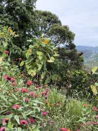 “A Breathtaking Escape with Panoramic Views”