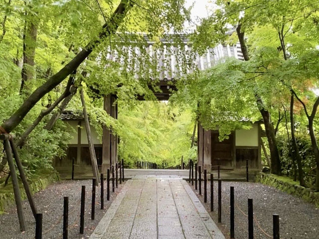 【京都府】 新緑も"いと美しゅう"