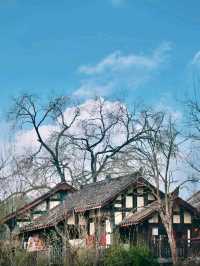 The Four Guild Halls: Preserving Hakka Heritage and Ancient Architecture