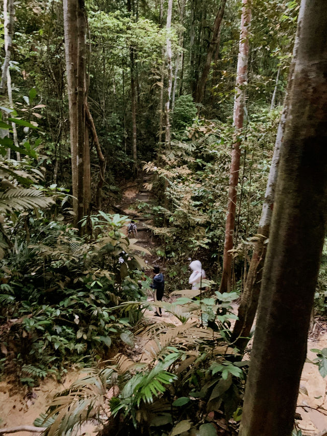 Conquer the Trails at Wawasan Hill! ⛰️