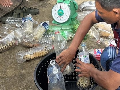 仙本那旅遊不可錯過的地方-海鮮市場