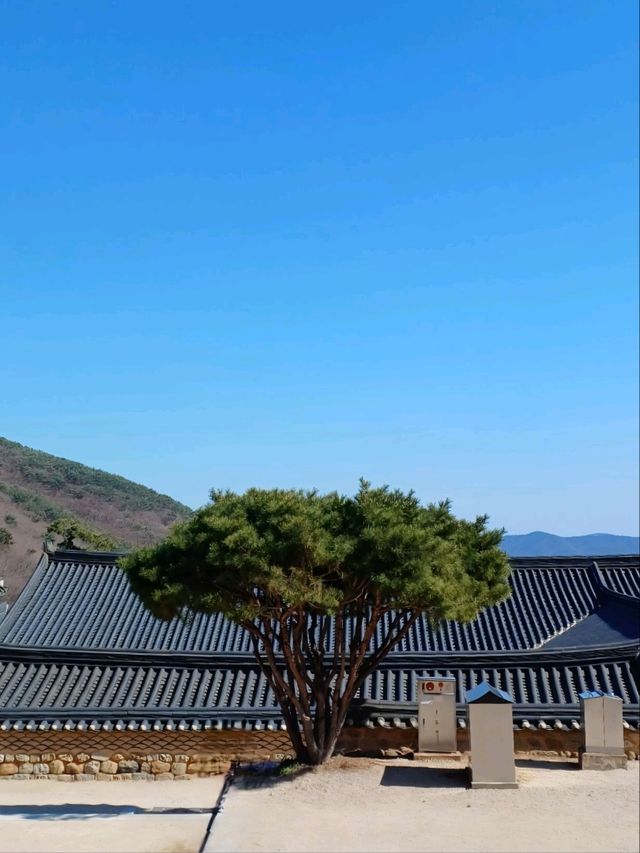 절제된 아름다움 속 고요한 쉼터