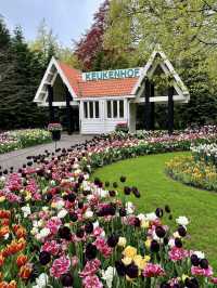 Keukenhof – A Dreamlike Stroll Through a Sea of Tulips