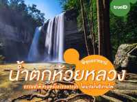 รวม 8 น้ำตก บรรยากาศดี 🌤️💦