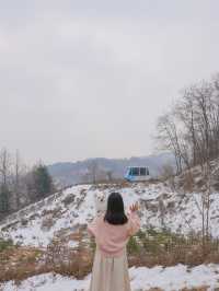 분단의 아픔과 역사, 철원의 아름다운 자연 그리고 우리집 강아지가 함께한🤎