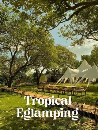 Tropical Eglamping 