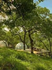 Tropical Eglamping 