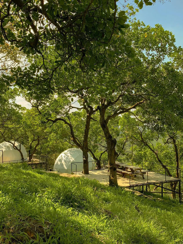 Tropical Eglamping 