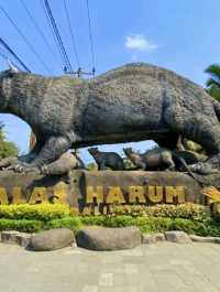 Bali’s natural beauty and warm hospitality make it a perfect destination