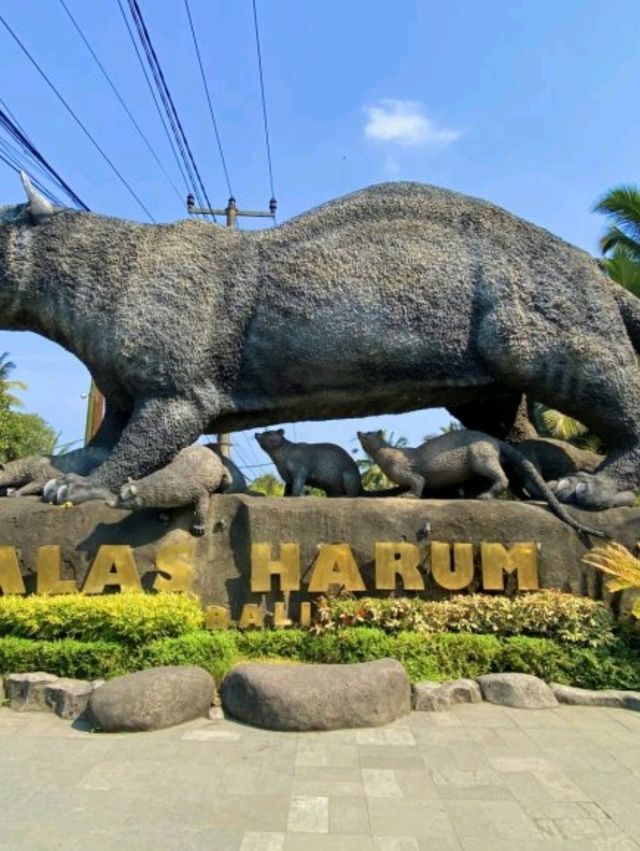Bali’s natural beauty and warm hospitality make it a perfect destination