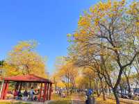 廍子公園