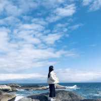 강원도 속초 여행 가볼만한 곳 <영금정> 💙