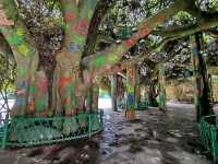 "Kunming: The Eternal Spring City of China"