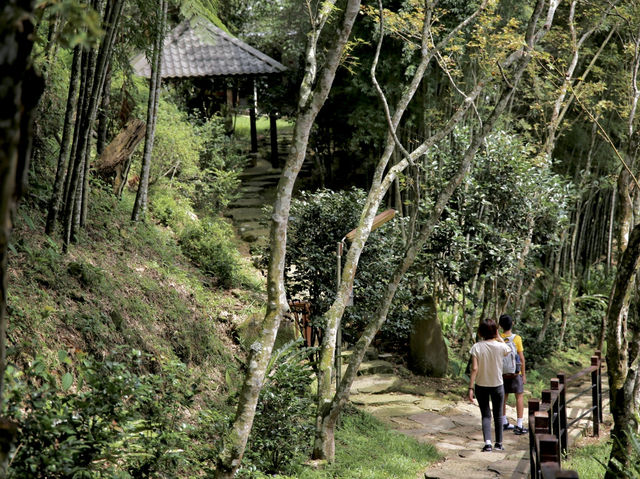 發現隱世秘境：仙境寒溪呢的夢幻之旅 🌸🏞️