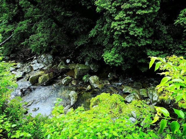 หุบเขามิโน (Minoo Park 箕面公園)