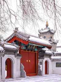 Trip to Qiqihar, China🇨🇳