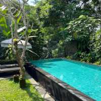 Tranquility in Paradise: Mandapa, a Ritz Carlton Reserve
