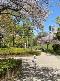 🇯🇵 大阪 🌸 扇町公園的松弛感